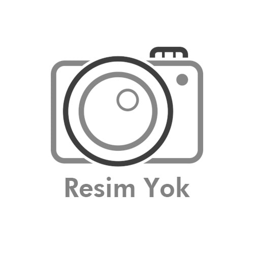POINT MOBILE PM80-R /2 GB RAM/16 GB DISK / EL TERMİNALİ